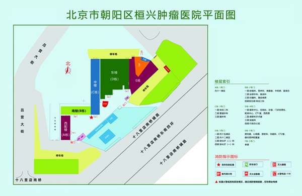 dajibaneishe北京市朝阳区桓兴肿瘤医院平面图